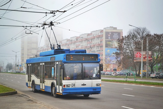 atum oto elektronik nerede