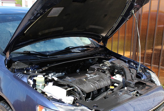 ferhan oto elektrik-elektronik peugeotcitroenci pendik yorumları