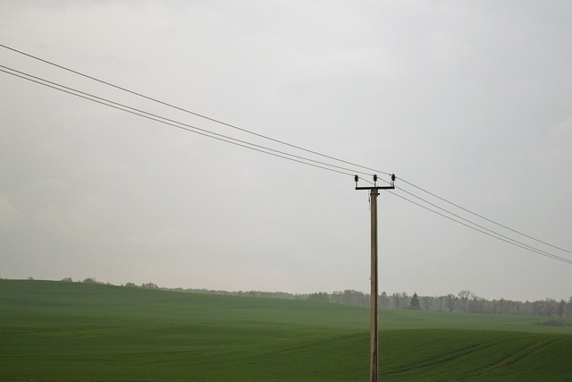 form oto elektronik maslak