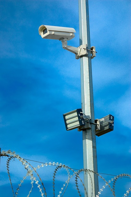 oto elektrikçi didim oto elektrikçi didim