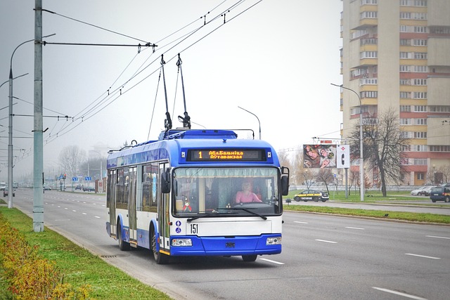 oto elektronik nedir